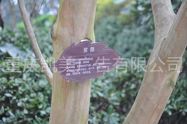 重庆猫咪视频官网房地产小区树木标识标牌制作案例